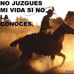 Meet your Posher, Gilbert